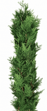 Classic Plain Conifer Garland - Flowers Box London