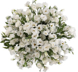 Classic Pure White Lisianthus Bouquet - Flowers Box London