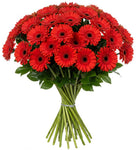 Classic Red Gerberas Bouquet