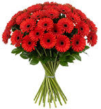 Classic Red Gerberas Bouquet