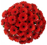 Classic Red Gerberas Bouquet - Flowers Box London