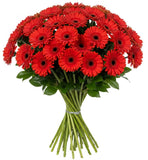 Classic Red Gerberas Bouquet - Flowers Box London