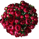 Classic Red Peonies Bouquet - Flowers Box London