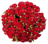 Classic Red Spray Roses Bouquet - Flowers Box London