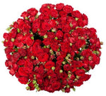 Classic Red Spray Roses Bouquet