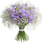 Classic Sweet Pea and Gypsophila Bouquet - Flowers Box London