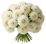 Classic White Dahlia Bouquet - Flowers Box London