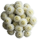 Classic White Dahlia Bouquet - Flowers Box London