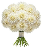Classic White Dahlia Bouquet - Flowers Box London