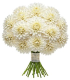 Classic White Dahlia Bouquet