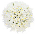 Classic White Iris Bouquet