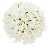 Classic White Iris Bouquet