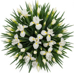 Classic White Iris Bouquet