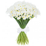 Classic White Iris Bouquet