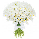 Classic White Iris Bouquet
