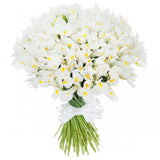 Classic White Iris Bouquet
