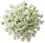 Classic White Sweet Pea Bouquet