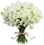 Classic White Sweet Pea Bouquet