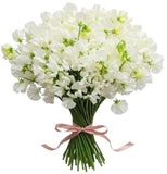 Classic White Sweet Pea Bouquet