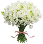 Classic White Sweet Pea Bouquet