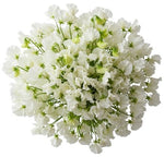 Classic White Sweet Pea Bouquet