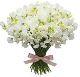 Classic White Sweet Pea Bouquet