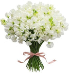 Classic White Sweet Pea Bouquet - Flowers Box London