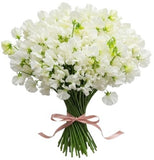 Classic White Sweet Pea Bouquet - Flowers Box London