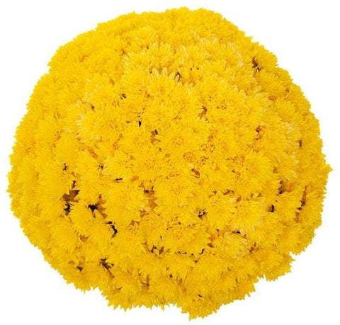 Classic Yellow Chrysanthemum Bouquet