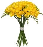 Classic Yellow Freesia Bouquet - Flowers Box London