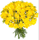 Classic Yellow Freesia Bouquet - Flowers Box London