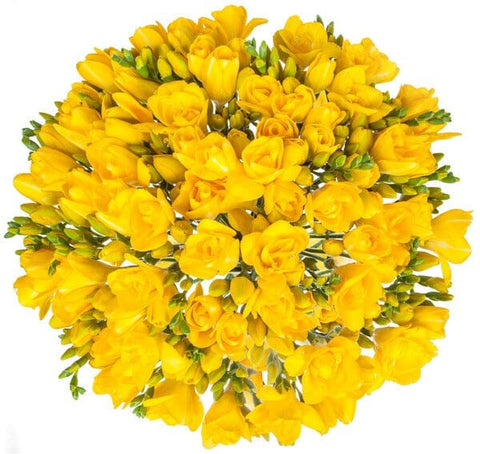 Classic Yellow Freesia Bouquet - Flowers Box London