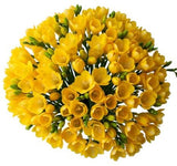 Classic Yellow Freesia Bouquet - Flowers Box London