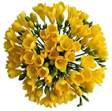 Classic Yellow Freesia Bouquet - Flowers Box London
