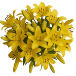 Classic Yellow Lily Bouquet