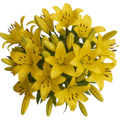 Classic Yellow Lily Bouquet