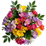 Colored Freesias with Greenery Bouquet - Flowers Box London
