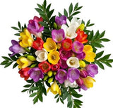 Colored Freesias with Greenery Bouquet - Flowers Box London