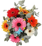 Colored Gerbera with Craspedia and Eucalyptus Bouquet