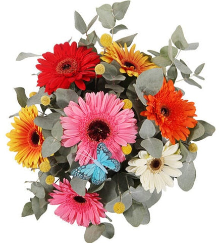 Colored Gerbera with Craspedia and Eucalyptus Bouquet