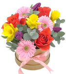 Colored Spring Box