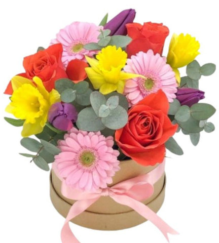 Colored Spring Box