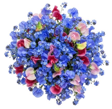 Colored Sweet Pea and Blue Forget Me Not Bouquet
