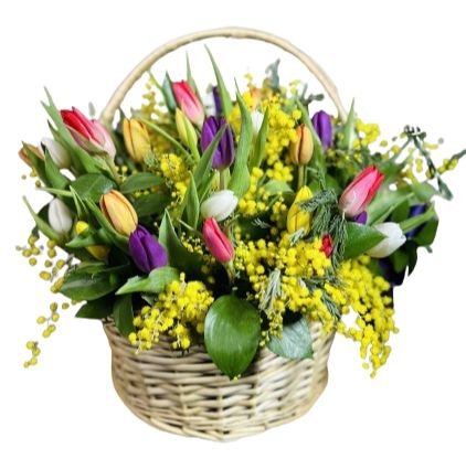 Colored Tulips and Mimosa in Basket - Flowers Box London