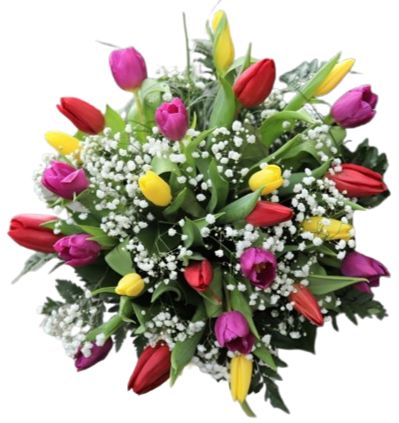 Colored Tulips with Gypsophila Bouquet