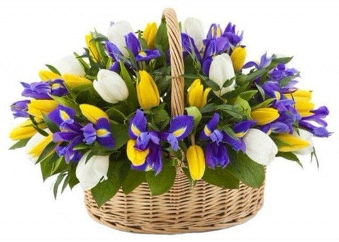 Colored Tulips with Iris Basket - Flowers Box London