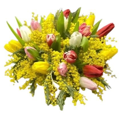 Colored Tulips with Mimosa Bouquet - Flowers Box London