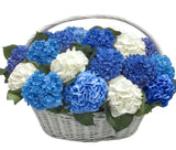 Colorful Hydrangea in Basket - Flowers Box London