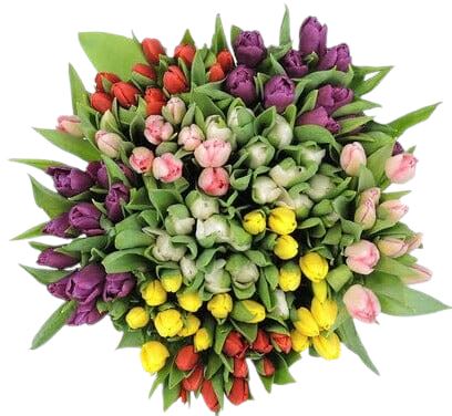 Colorful Palete of Tulips Bouquet