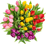 Colorful Palete of Tulips Bouquet